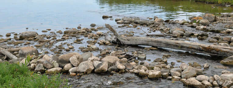 rocks and logs on lake shore