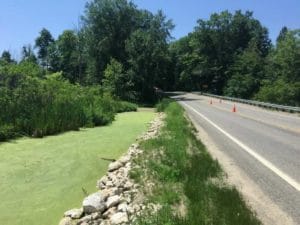 A roadside marsh undergoing an environmental assessment