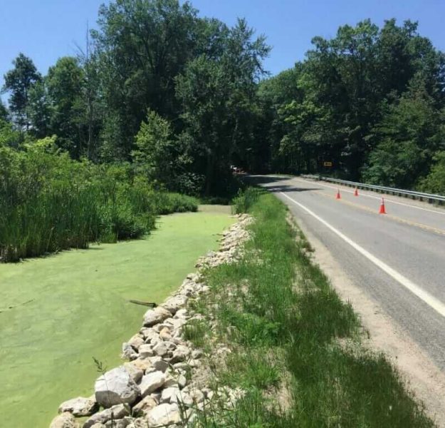 A roadside marsh undergoing an environmental assessment